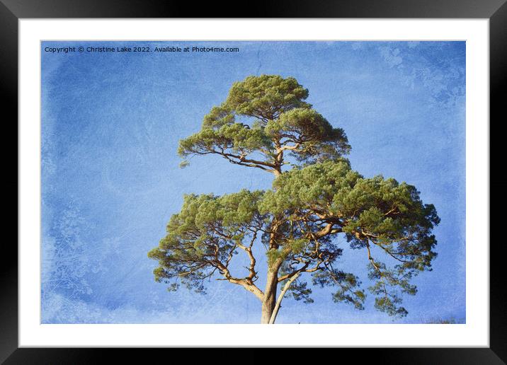 A Blue Sky Morning Framed Mounted Print by Christine Lake