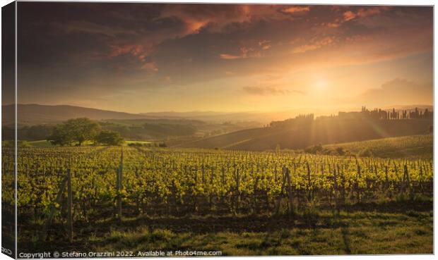 Montalcino vineyards at sunset. Tuscany region, Italy Canvas Print by Stefano Orazzini