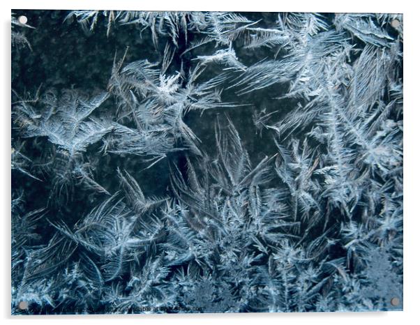 Ice Art #1 Acrylic by Stephanie Moore