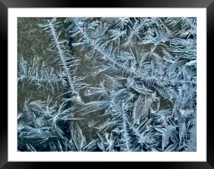Ice Art #2 Framed Mounted Print by Stephanie Moore