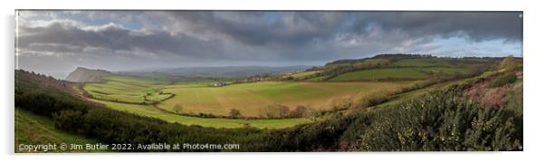 East Devon Panorama Acrylic by Jim Butler