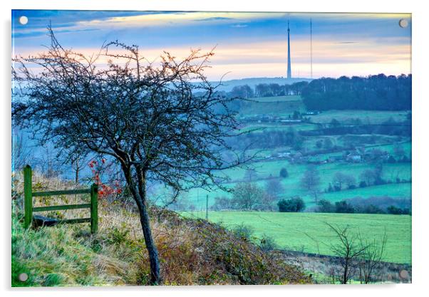  Emley Moor View Acrylic by Alison Chambers