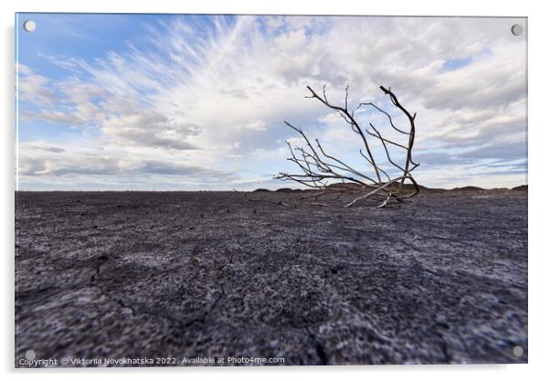 Lonely tree in desert Acrylic by Viktoriia Novokhatska