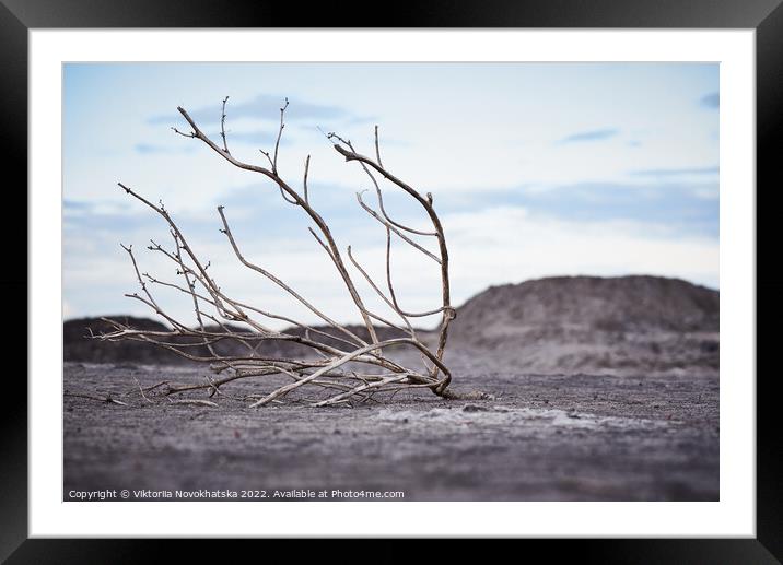 Dead tree in arid soil Framed Mounted Print by Viktoriia Novokhatska