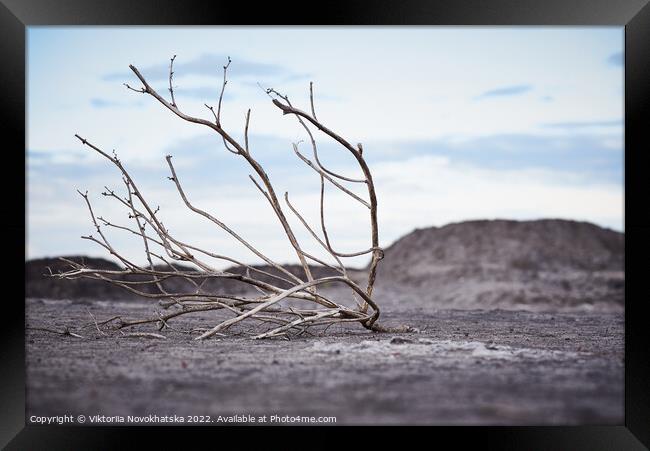 Dead tree in arid soil Framed Print by Viktoriia Novokhatska