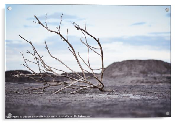 Dead tree in arid soil Acrylic by Viktoriia Novokhatska