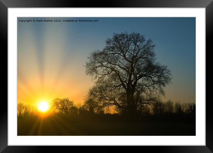 Sunset, Oak and Crows Framed Mounted Print by Mark Rosher