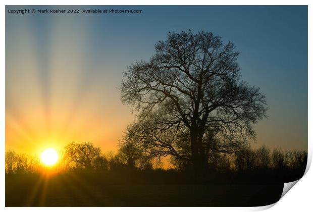 Sunset, Oak and Crows Print by Mark Rosher