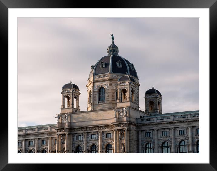 Museum of Natural History in Vienna, Austria Framed Mounted Print by Dietmar Rauscher