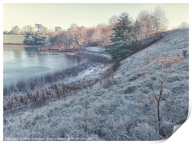 Frosty Morning At Blenheim    Print by Peter Greenway