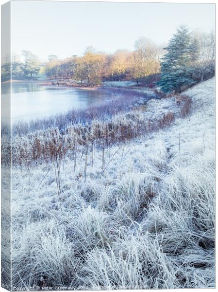 A Frosty Morning On The Blenheim Estate In Oxfordshire  Canvas Print by Peter Greenway