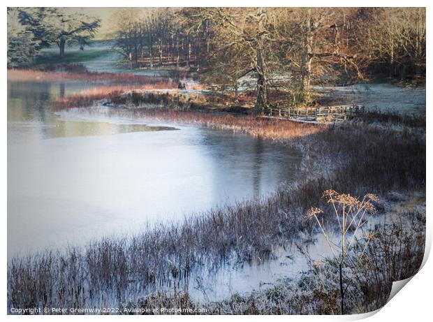 A Frosty Morning On The Blenheim Estate In Oxfordshire  Print by Peter Greenway