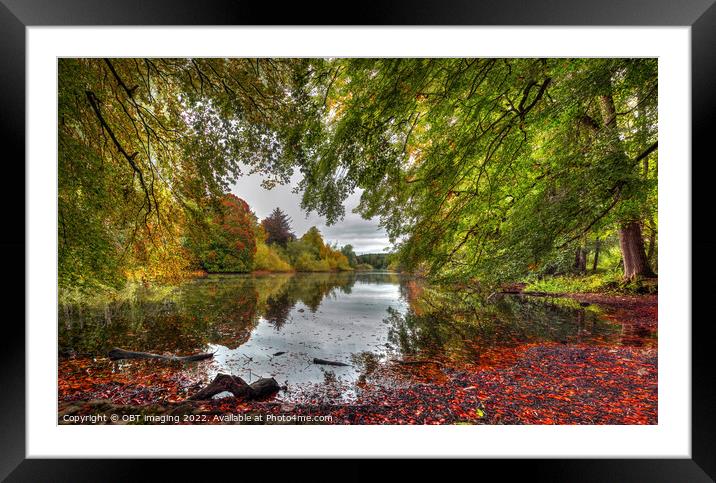 Emotion By The Lake Beech Tree Autumn Peace Framed Mounted Print by OBT imaging