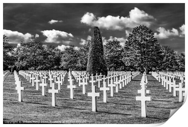 Black White Crosses American Military World War 2 Cemetary Norma Print by William Perry