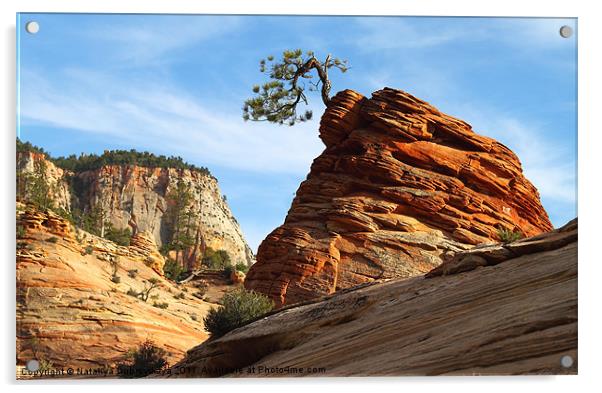 Rock and Tree. National park Zion. Utah Acrylic by Nataliya Dubrovskaya