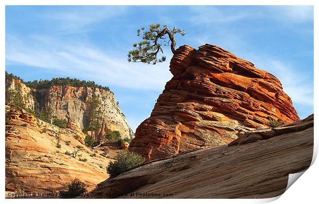 Rock and Tree. National park Zion. Utah Print by Nataliya Dubrovskaya