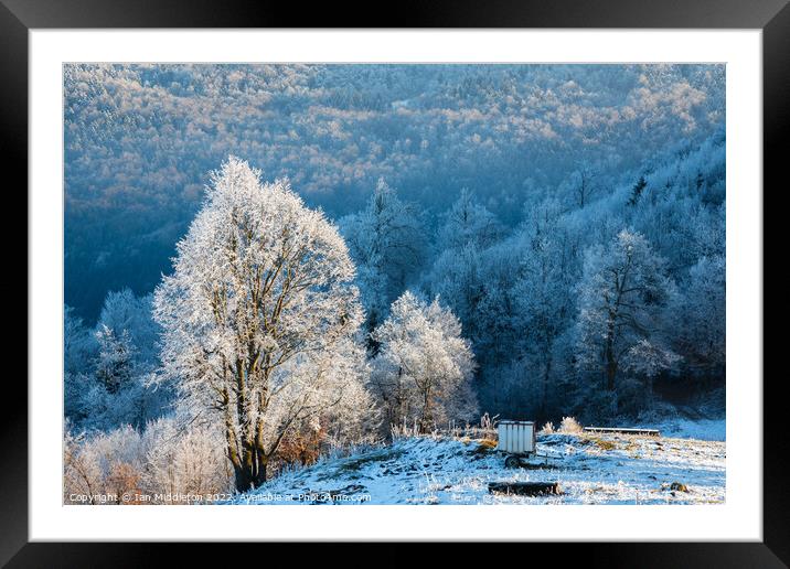 Winter landscape Framed Mounted Print by Ian Middleton