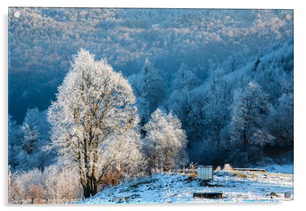 Winter landscape Acrylic by Ian Middleton