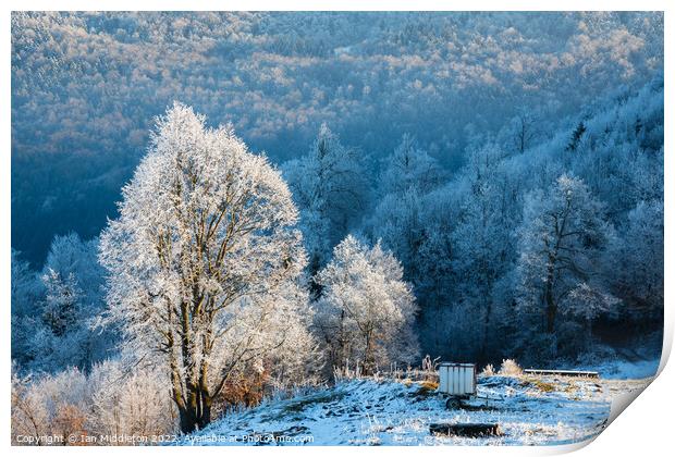 Winter landscape Print by Ian Middleton