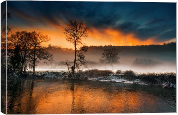 Frosty Tamar River, Cornwall Canvas Print by Maggie McCall