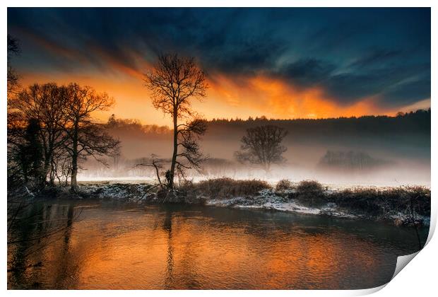 Frosty Tamar River, Cornwall Print by Maggie McCall