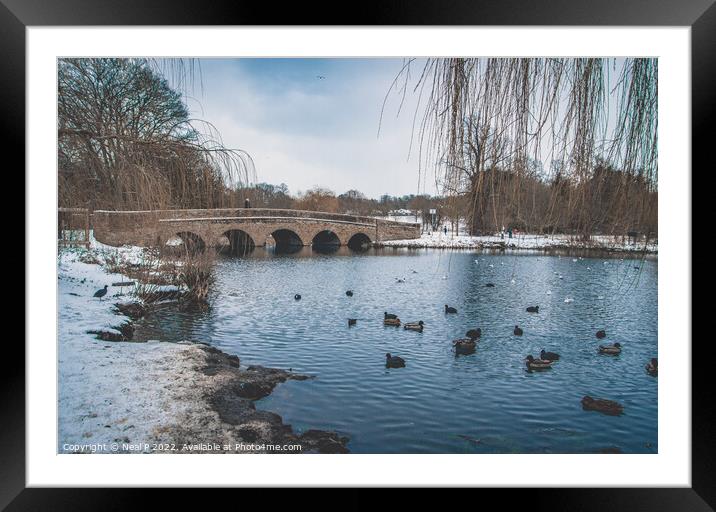 Five Arches Framed Mounted Print by Neal P