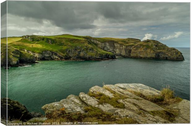A view of Bossiney Cove in Cornwall from the cliff Canvas Print by Michael Shannon