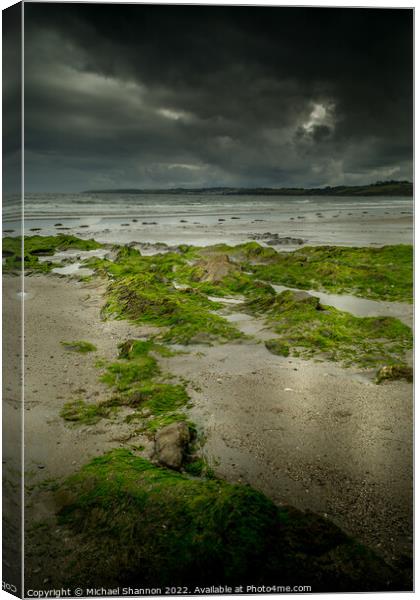 A moody, overcast day on Carne Beach in Cornwall Canvas Print by Michael Shannon