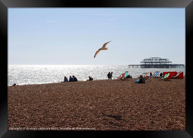Soaring Seagull on Brighton Beach Framed Print by Graham Lathbury