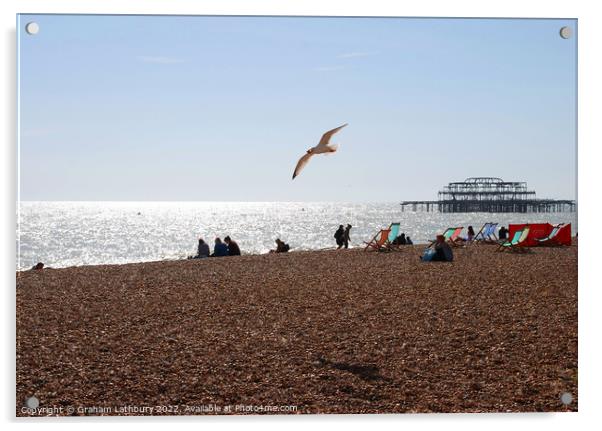 Soaring Seagull on Brighton Beach Acrylic by Graham Lathbury