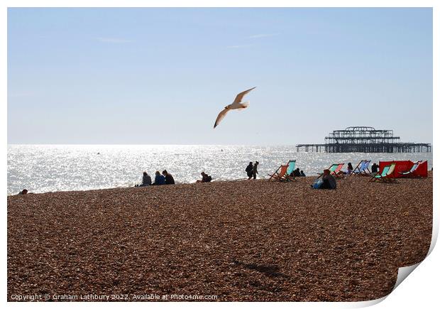 Soaring Seagull on Brighton Beach Print by Graham Lathbury
