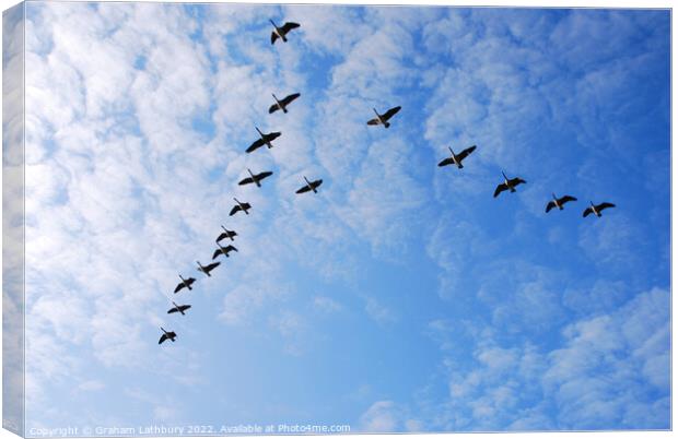 Canada Geese in V formation Canvas Print by Graham Lathbury