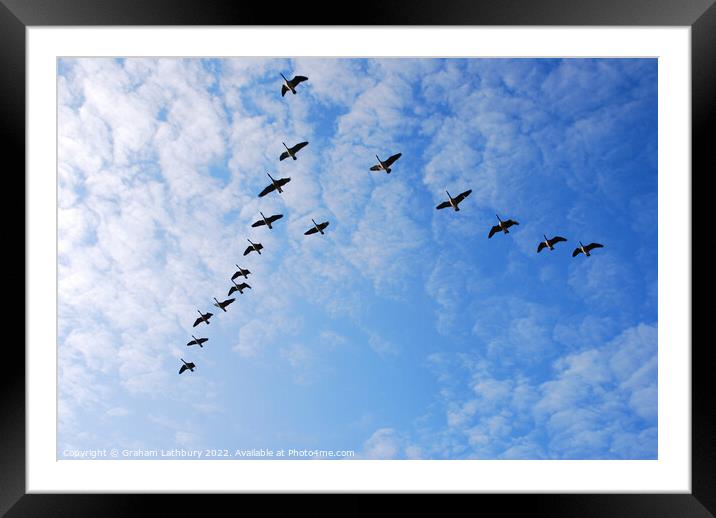Canada Geese in V formation Framed Mounted Print by Graham Lathbury
