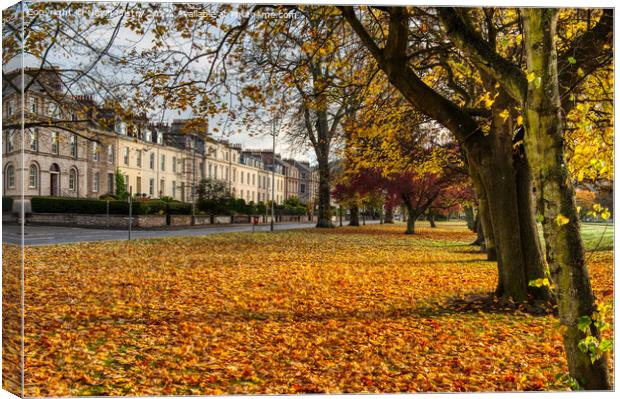 Autumn and the South Inch, Perth Scotland Canvas Print by Navin Mistry