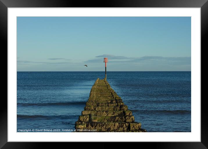 Looking Out To Sea Framed Mounted Print by David Boland