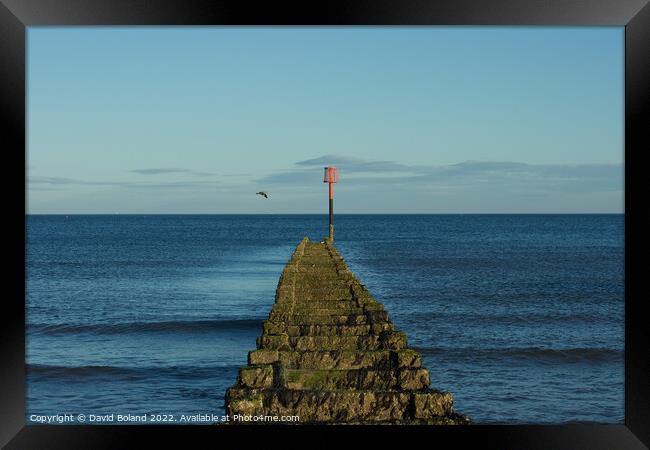 Looking Out To Sea Framed Print by David Boland