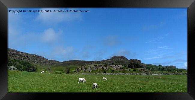 CANNA Framed Print by dale rys (LP)