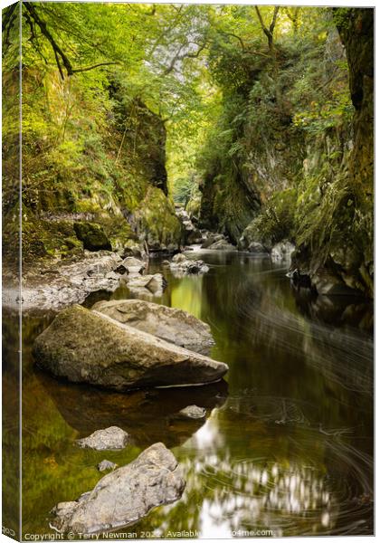 Enchanting Fairy Glen Gorge Canvas Print by Terry Newman