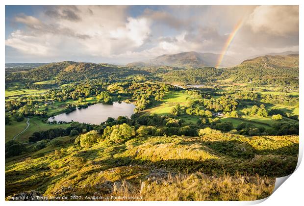 Serene Sunrise Over Loughrigg Tarn Print by Terry Newman
