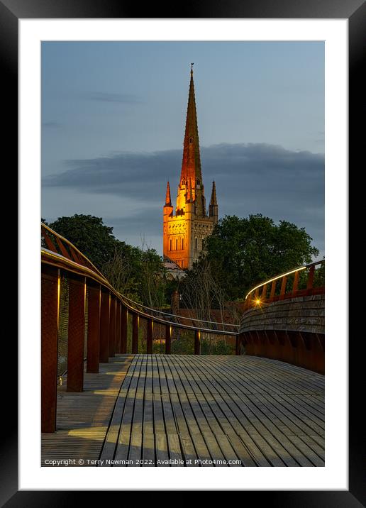 Majestic Norwich Cathedral at Dusk Framed Mounted Print by Terry Newman
