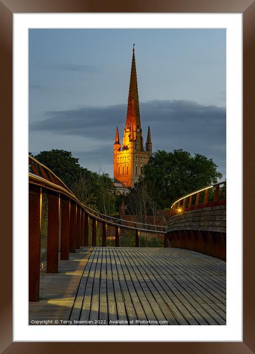 Majestic Norwich Cathedral at Dusk Framed Mounted Print by Terry Newman