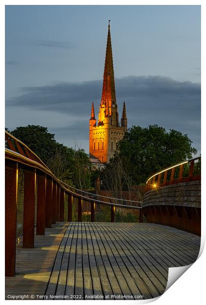 Majestic Norwich Cathedral at Dusk Print by Terry Newman
