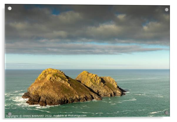 Carters Rocks Holywell Bay Acrylic by CHRIS BARNARD