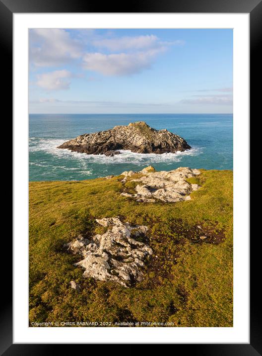 Chick Island off Kelsey Head Cornwall Framed Mounted Print by CHRIS BARNARD