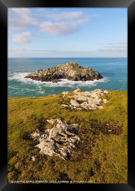 Chick Island off Kelsey Head Cornwall Framed Print by CHRIS BARNARD