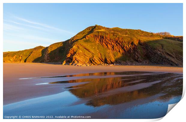 Tregantle Cliffs Cornwall Print by CHRIS BARNARD