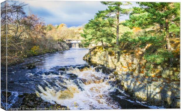 Waterfall at Low Force on the River Tees in Teesda Canvas Print by Michael Shannon
