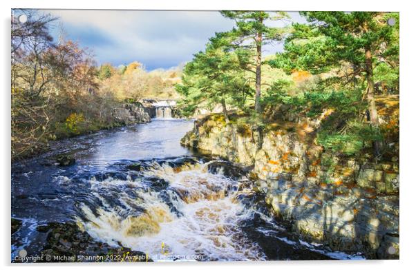 Waterfall at Low Force on the River Tees in Teesda Acrylic by Michael Shannon