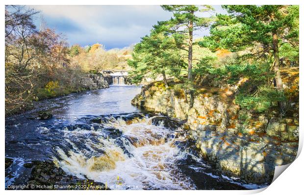Waterfall at Low Force on the River Tees in Teesda Print by Michael Shannon