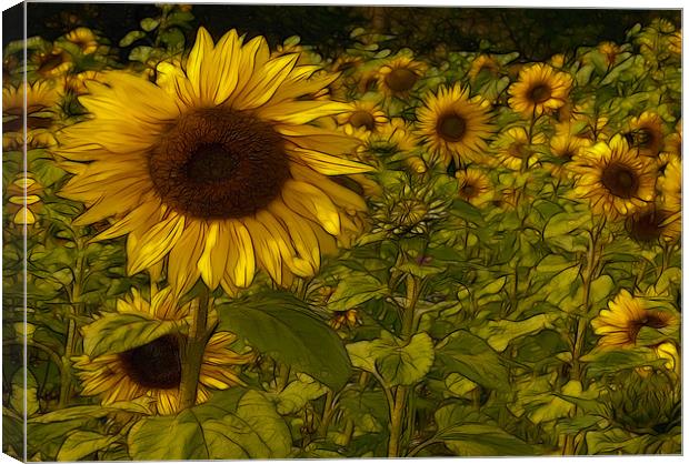 Fractal Sunflowers Canvas Print by Trevor Kersley RIP